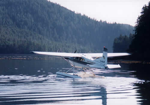 South Moresby Air, Cessna 185